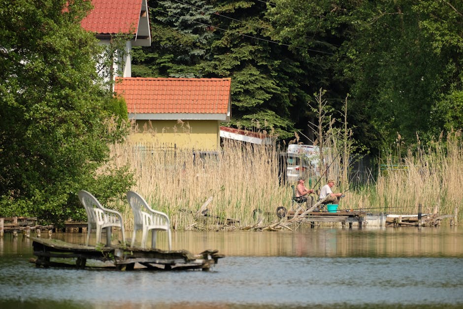 Pescuitul pe Lacul Ostroveni suspendat până în 2026: ce trebuie să știe pescarii