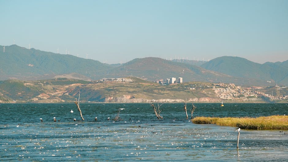 Lacul Vida revine la viață: 300.000 m³ de aluviuni îndepărtați pentru un habitat revitalizat