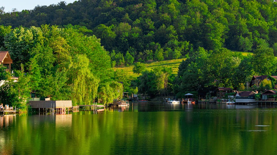 Lacul Vida din Dobrești revine la viață după o decolmatare masivă
