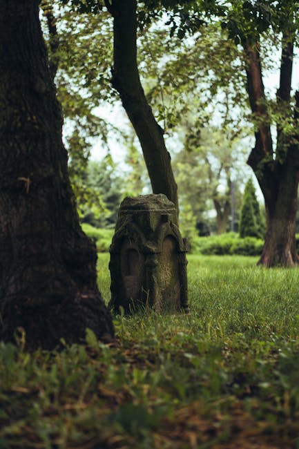 Cimitirul din Calea Șagului se transformă: 250 de arbori pentru un mediu mai plăcut