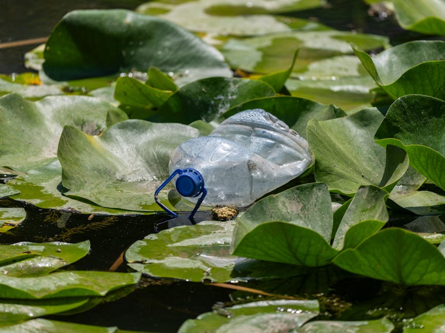 Locuitorii din Târgu Secuiesc primesc apă îmbuteliată din cauza contaminării rețelei publice