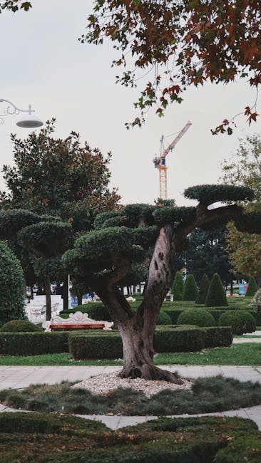 Plantează frumusețe: arborii care transformă Parcul Central din Târgu Jiu