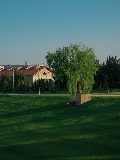 Transformarea zonei Lac MHC: un proiect ambițios de regenerare urbană
