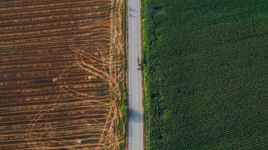 Florin Barbu își încheie mandatul: realizări și provocări în agricultura românească