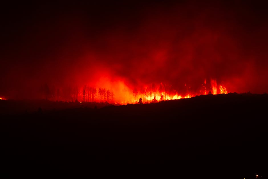 Atenție, călători! Risc crescut de incendii în Comunitatea Valenciană din Spania