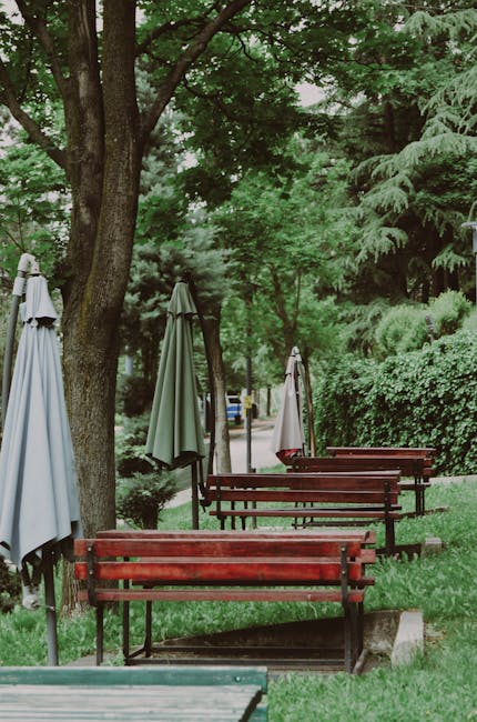 Primăvara aduce noi specii de arbori în Parcul Tăbăcărie din Constanța