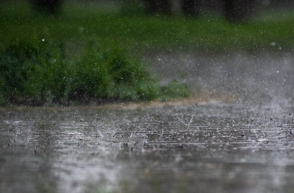 Atenție, Bihor! Cod galben de instabilitate atmosferică aduce vijelii și averse
