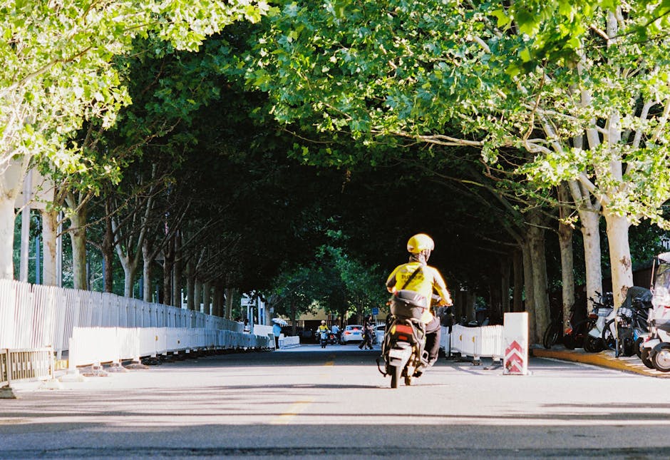 Haosul din trafic: comportamente diverse ale bicicliștilor și motocicliștilor