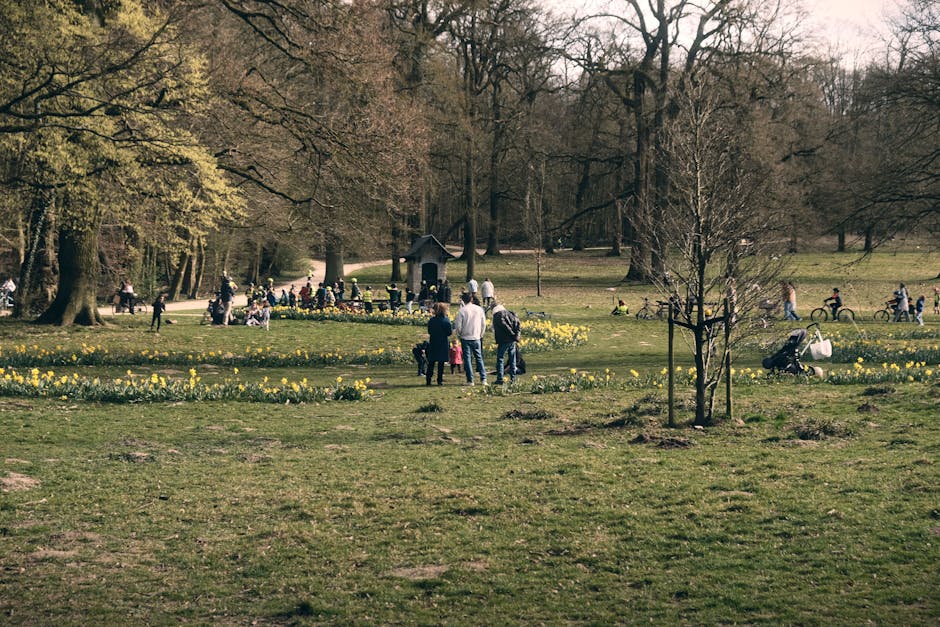 Parcul Sub Arini se transformă: investiție de peste 3,3 milioane de euro pentru un nou spațiu de recreere