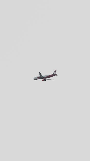 Investiție surprinzătoare: Banca Transilvania devine acționar la compania aeriană AnimaWings