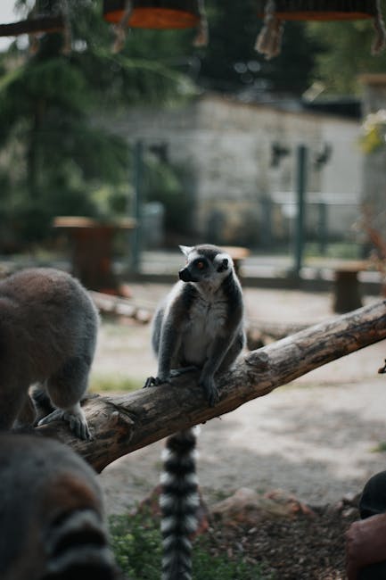 Primăvara aduce noi viețuitoare la Grădina Zoologică din Târgu Mureș