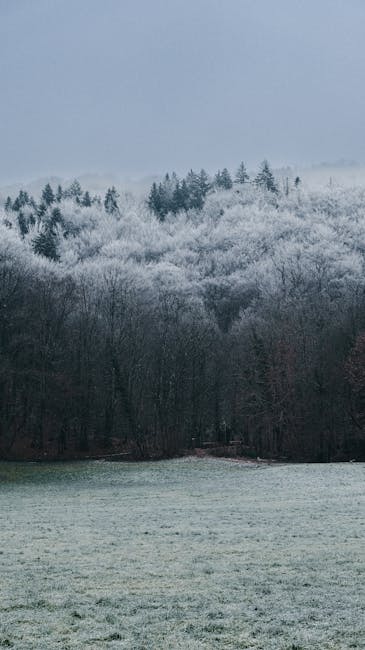Vreme rece și instabilitate meteorologică până duminică