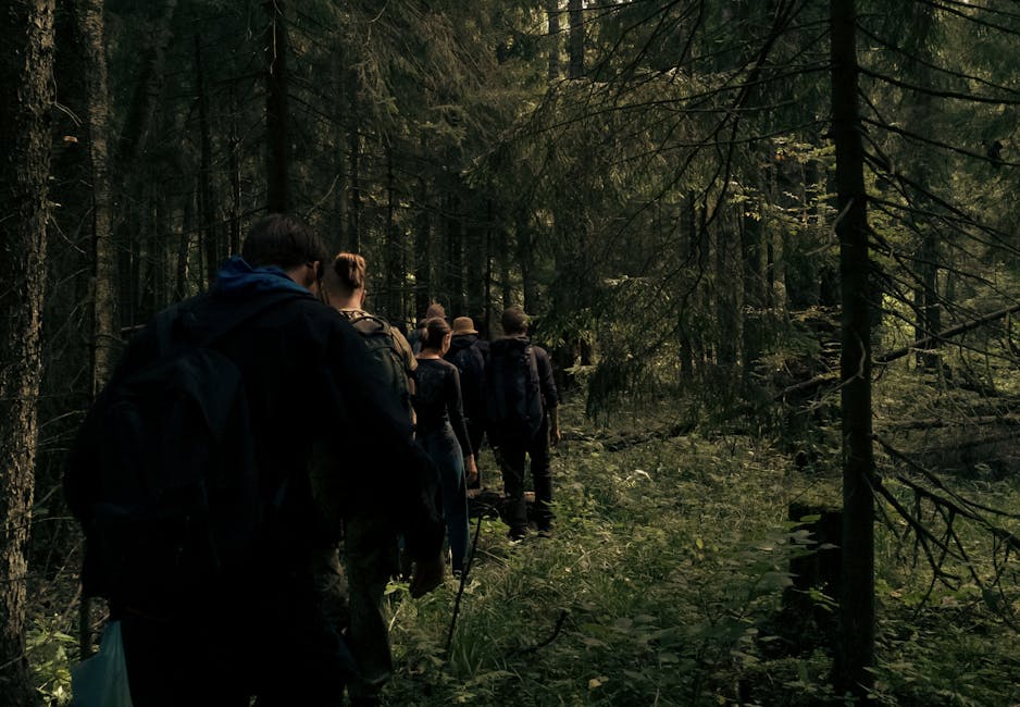 Reșița celebrează natura: Direcția Silvică Caraș-Severin susține Ziua Potecilor