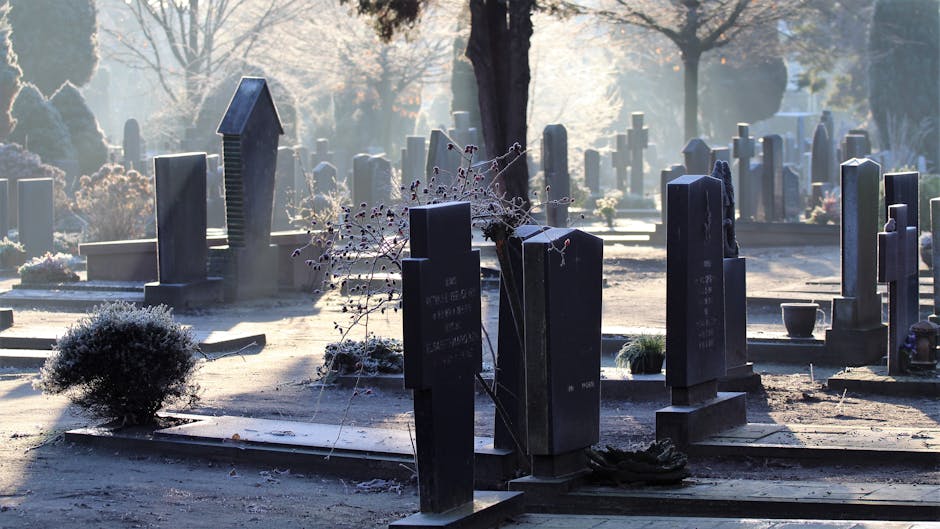 Atenție, ploieșteni! Escrocherii în cimitire: cum să vă protejați