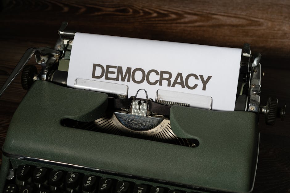 Oana Țoiu subliniază importanța liberului acces la informații pentru democrație