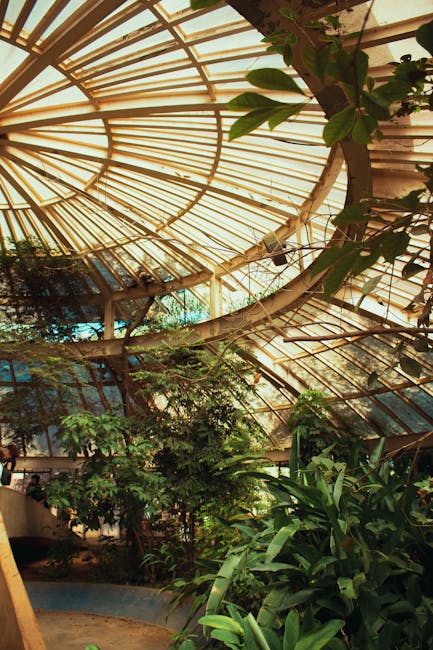 Oază tropicală în inima Alpii: MUSE din Trento
