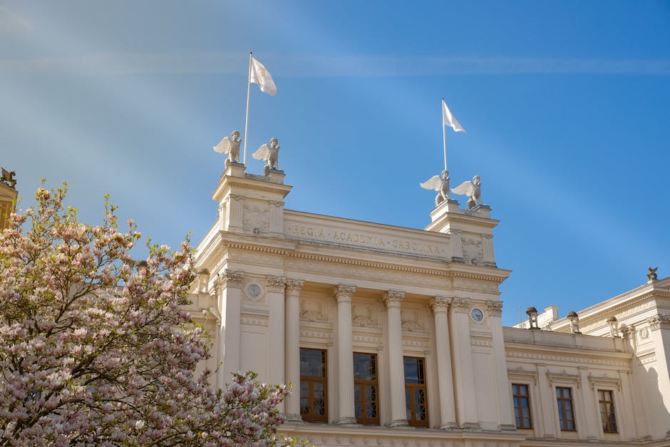 Descoperă Europa: Unitate și diversitate la UMFST