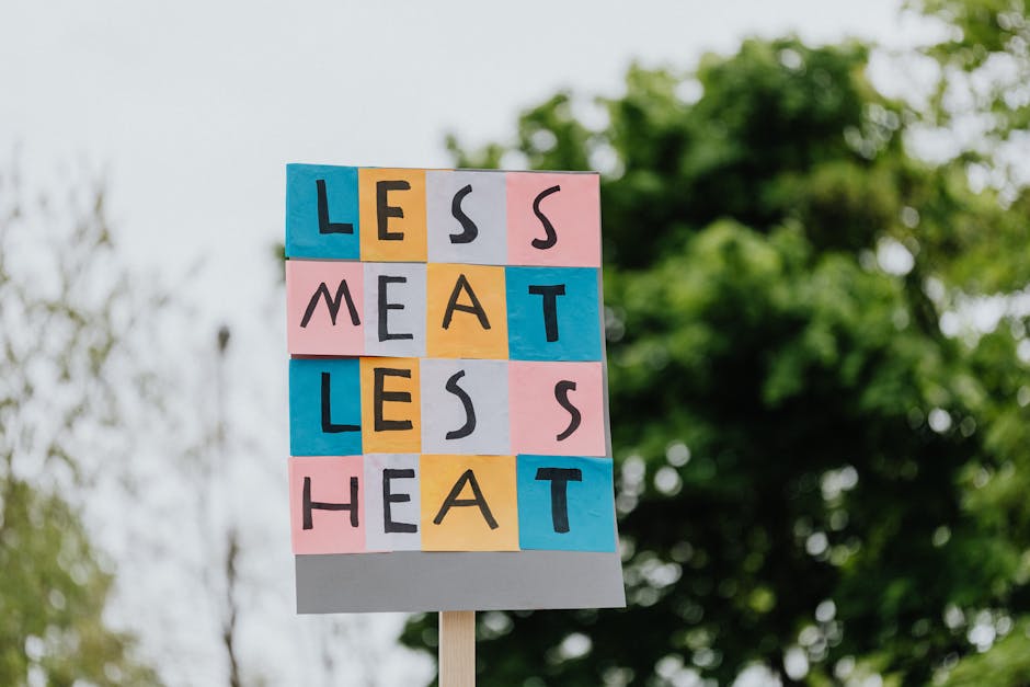 Amsterdam devine prima capitală globală care interzice publicitatea pentru carne și mașini