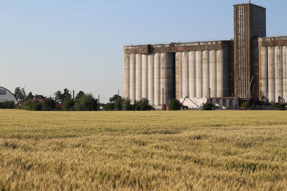 Importanța Azomureș pentru Târgu Mureș: Ciprian Dobre subliniază necesitatea unei industrii funcționale
