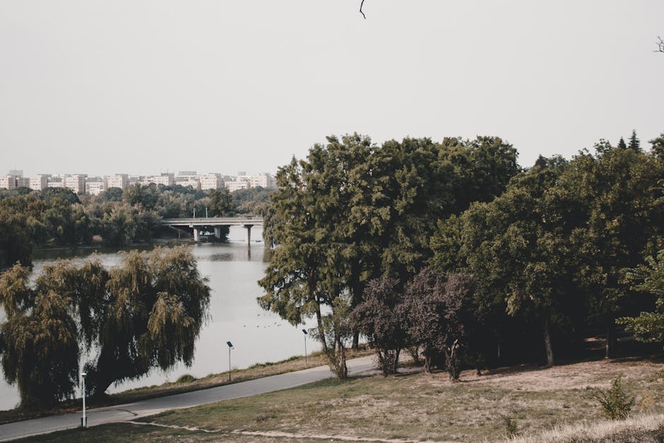 Descoperă o oază secretă lângă Cluj: un loc care rivalizează cu Delta Dunării