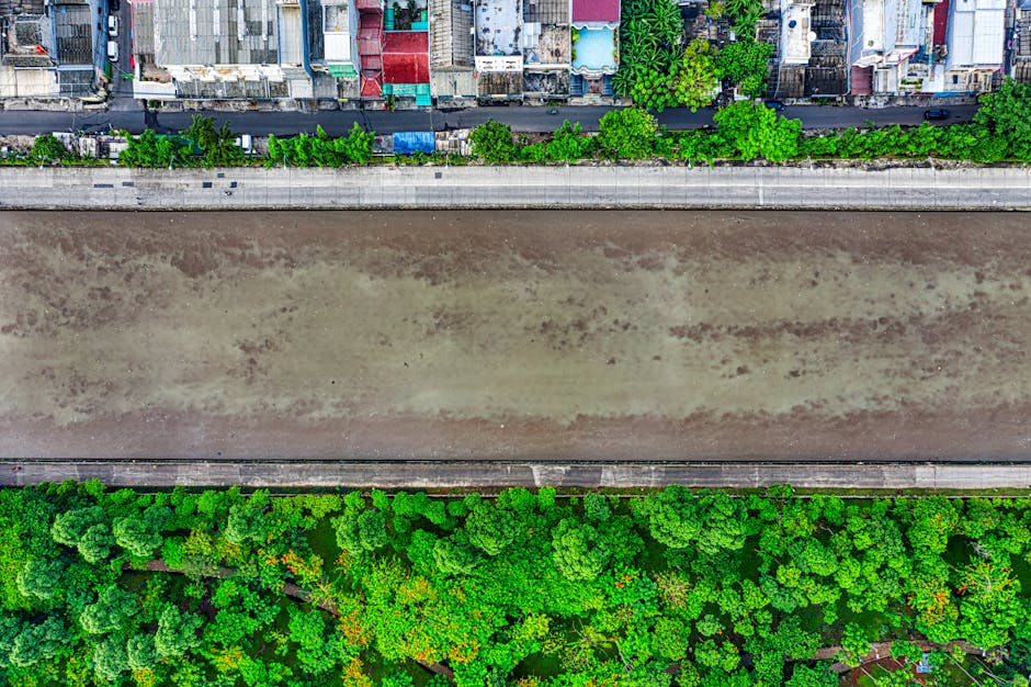 Transformarea Valea Căstăilor: Un proiect ecologic promițător în Bistrița