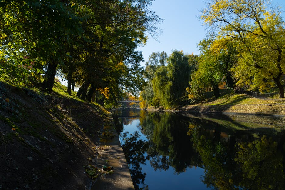 Explorează poveștile ascunse ale parcurilor din Timișoara