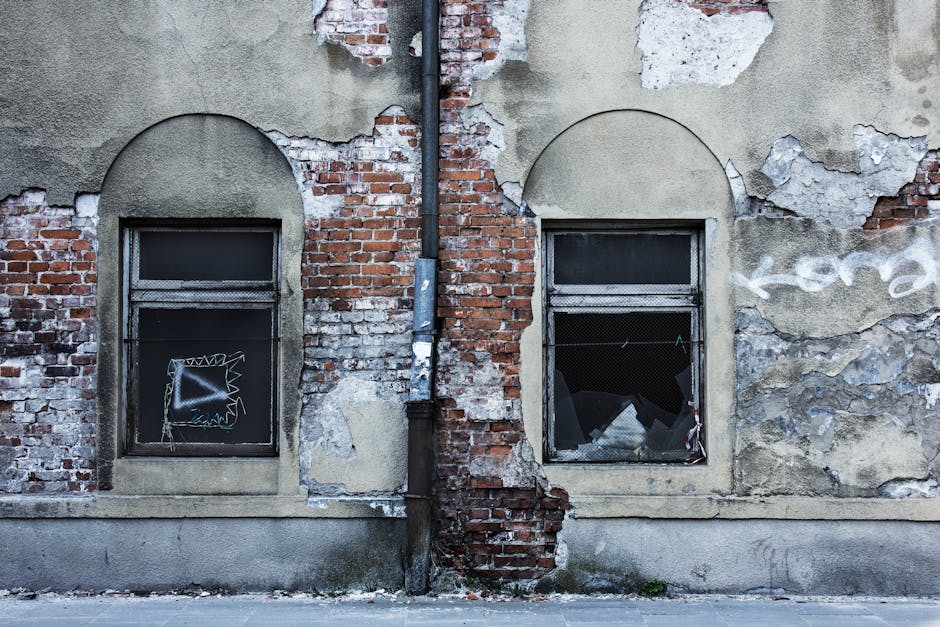 Monstrul de pe Cerbului: o poveste despre indiferența urbană