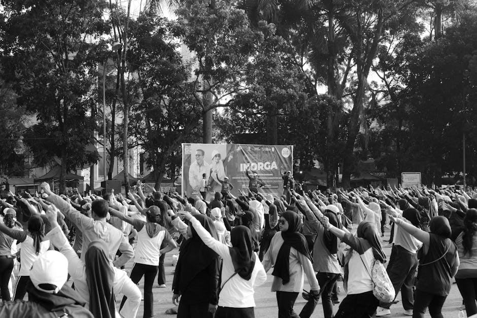 Descoperă istoria mișcării: eveniment inedit în parc organizat de Crucea Roșie