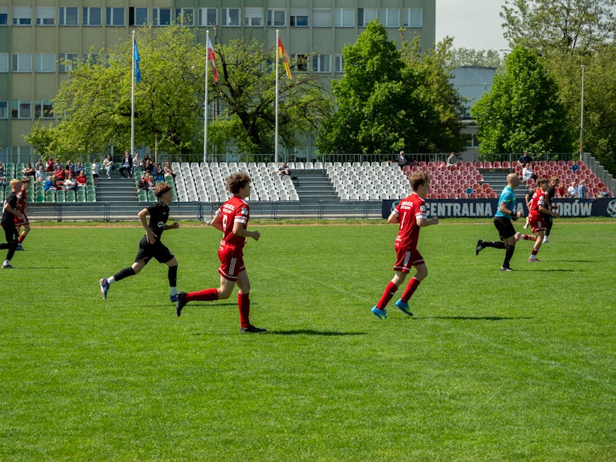 Nou început pentru Cetatea Suceava în Liga 2: programul sezonului 2023-2024