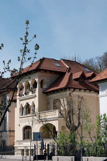 Nouă conducere la Casa Națională de Pensii Publice