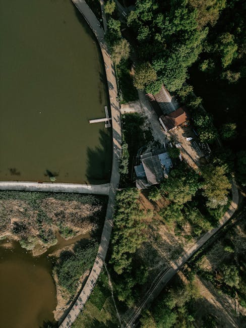 Explorarea lacurilor Cărămidăriei: un tur ghidat în inima Târgu Mureșului