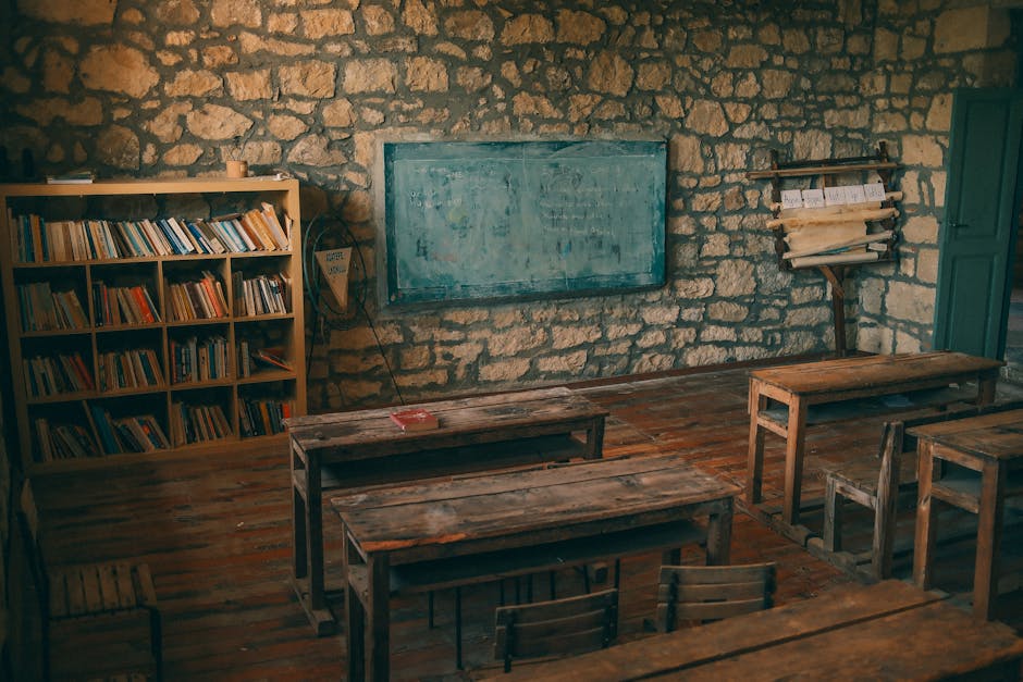 Investiție majoră în educație: Școala din Turnu Ruieni va fi modernizată cu 1,2 milioane de euro