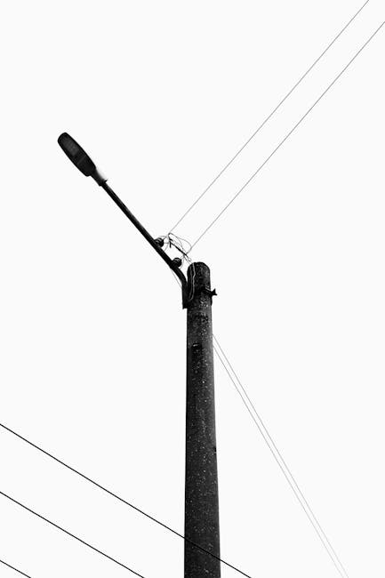 Râșnov investește în soluții electrice pentru a ține urșii la distanță