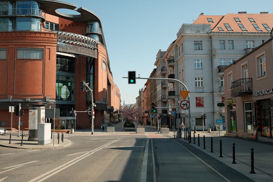 Arhitecții din Oradea contestă reabilitarea pietonalei de pe strada Republicii