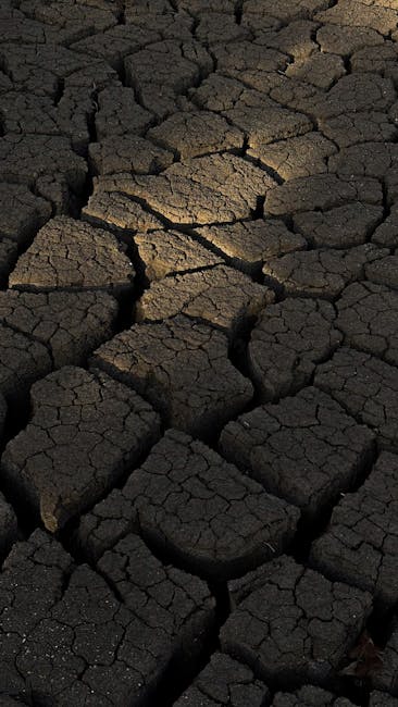 Mama Gaia: un apel urgent pentru salvarea planetei în fața schimbărilor climatice