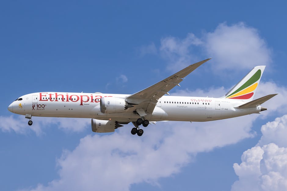 Despăgubiri record pentru familia unei victime din accidentul Boeing 737 MAX