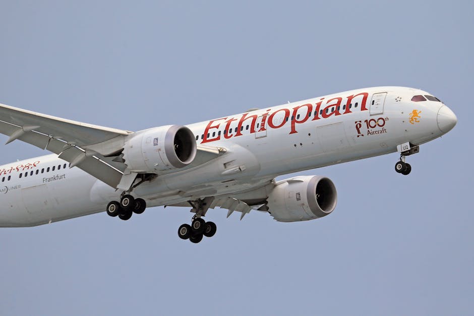 Boeing condamnată la despăgubiri de 29 milioane de dolari pentru tragedia zborului ET302