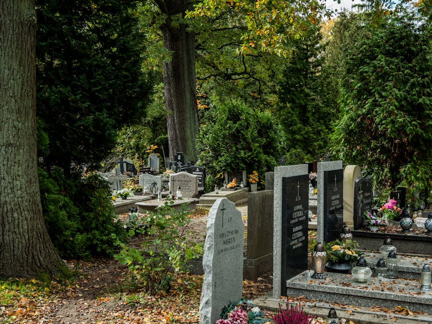 Ultimul omagiu adus lui Patrick André de Hillerin: detalii despre înmormântare