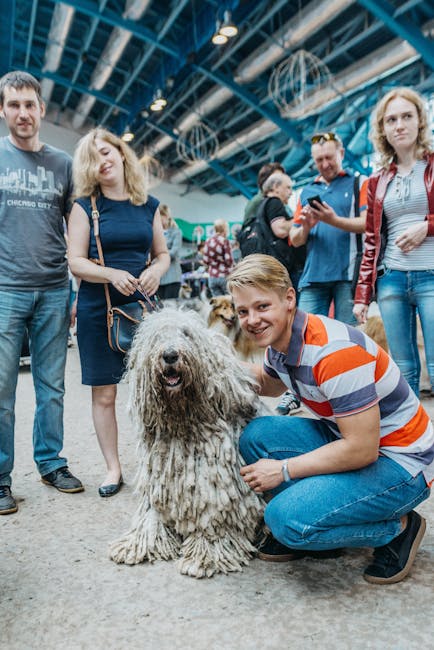 Râșnov găzduiește o spectaculoasă expoziție canină internațională în acest weekend
