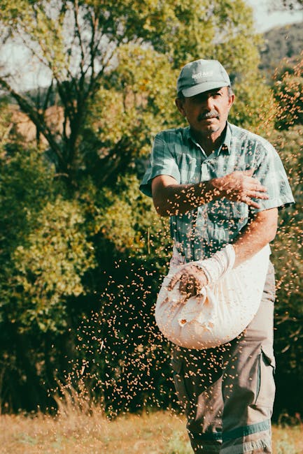 Dezvoltarea agricolă din România: provocări și inovații în fața dificultăților