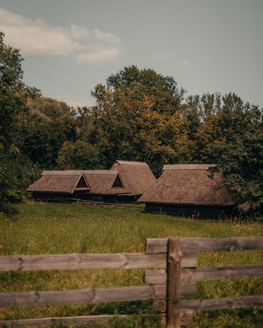 Vrancea rurală se transformă într-o destinație turistică profitabilă pentru gospodării