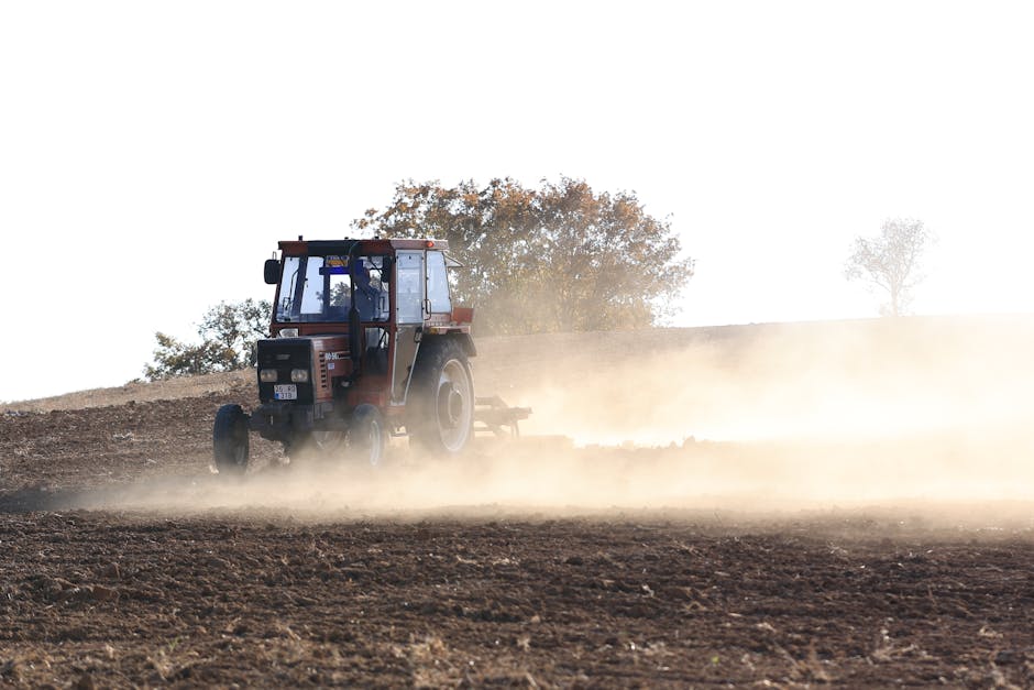 Secretele unei agriculturi de succes: Cum să ne pregătim pentru o toamnă devreme