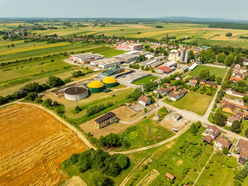 Strategiile primarului din Cumpăna pentru un viitor industrial verde în Europa
