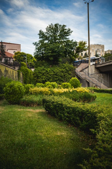 Timișoara se îmbracă în verde: parteneriat pentru plantări sustenabile
