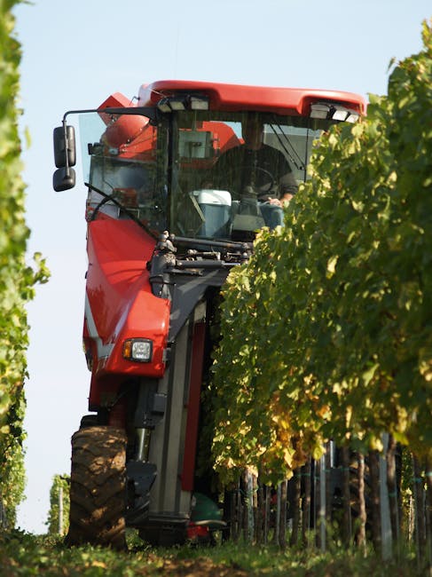 INDAGRA 2026: Transformarea expoziției agricole pentru viitor