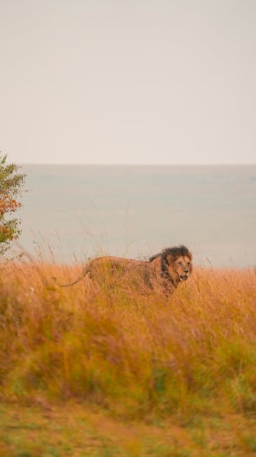 Descoperă Kenya prin obiectivul fotografilor români la Sibiu
