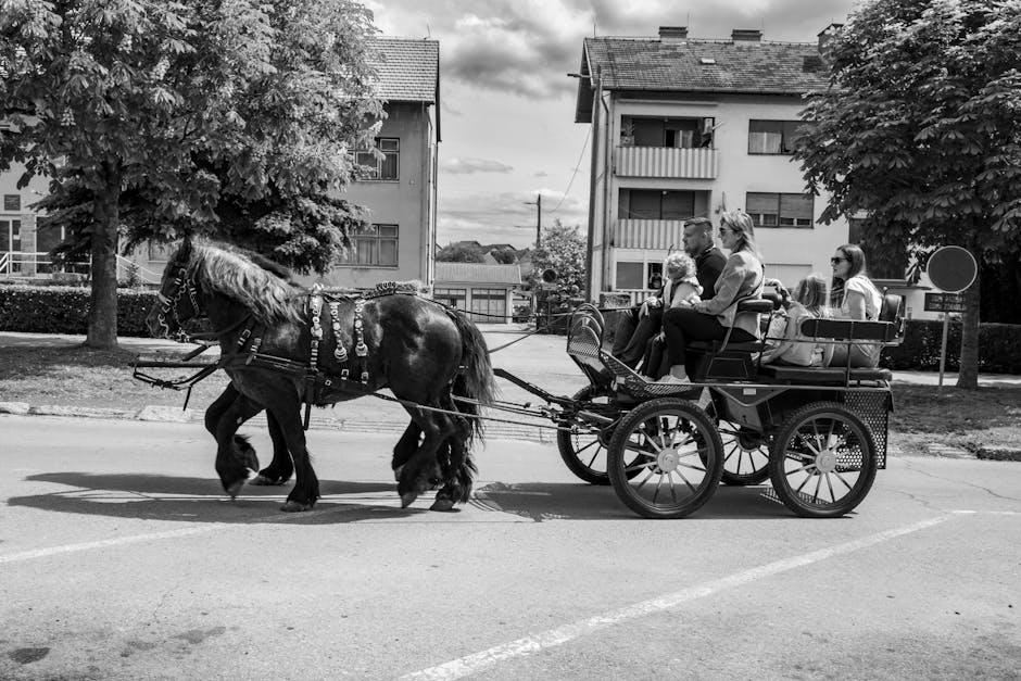 Familie surprinsă cu căruța pe pista de biciclete din Sibiu