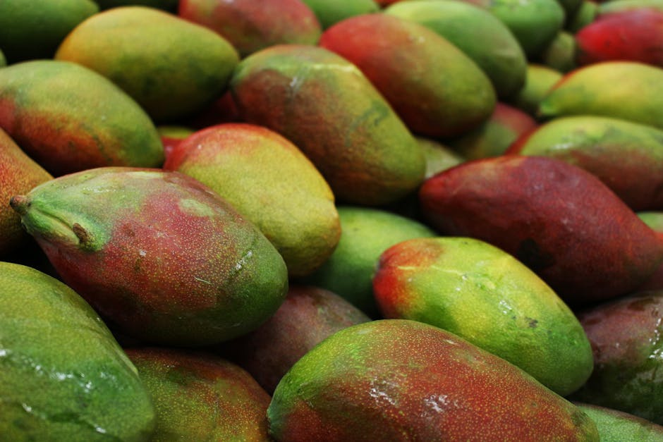 Fiul fondatorului lanțului Mango, arestat pentru moartea tatălui său