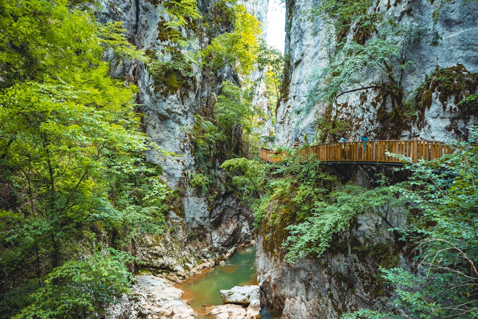 Pădurea Craiului devine destinație oficială de ecoturism