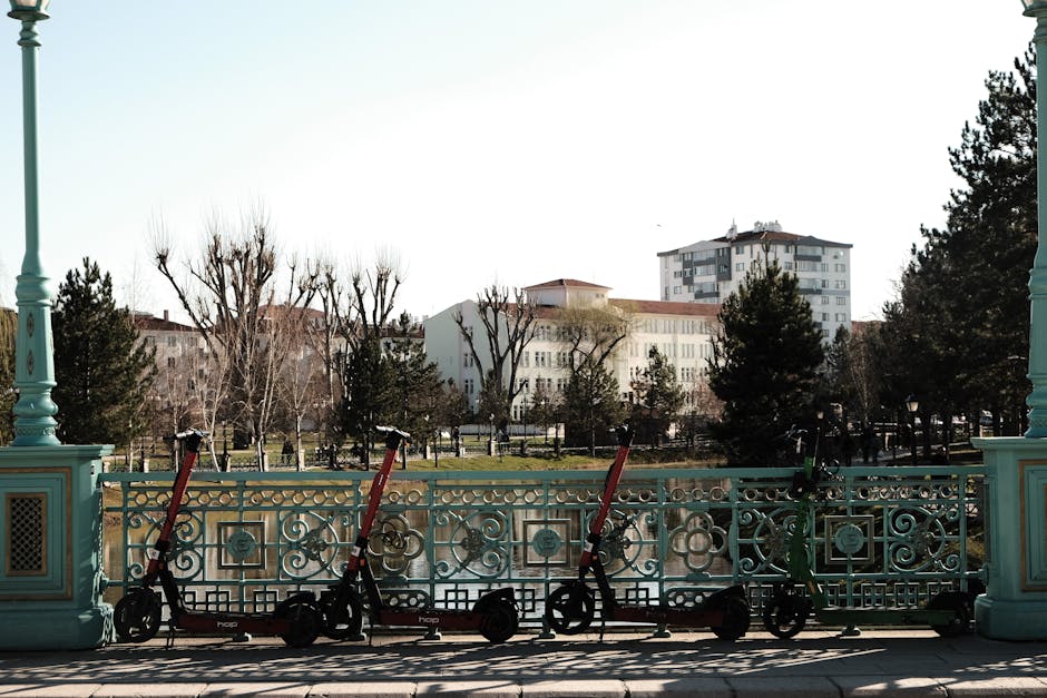 Băimărenii dezbat utilizarea trotinetelor electrice în parcuri